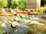 Ekologinė akcija „Šyša – mūsų upė“