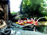 Ekologinė akcija „Šyša – mūsų upė“
