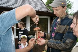 „Grybų fiesta 2016” Švėkšnoje