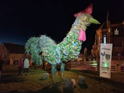 photo_2025-10-11_12-48-32