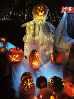 photo_2025-10-11_12-48-37