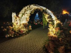 photo_2025-10-11_12-48-38