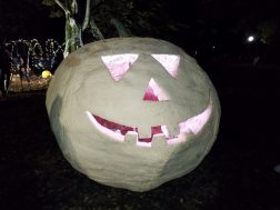 photo_2025-10-11_12-48-40