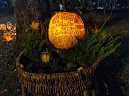 photo_2025-10-11_12-48-44