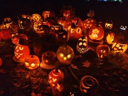 photo_2025-10-11_12-48-46 (2)