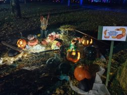 photo_2025-10-11_12-48-46