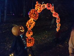 photo_2025-10-11_12-48-48