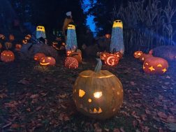 photo_2025-10-11_12-48-50