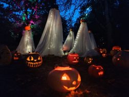 photo_2025-10-11_12-48-52